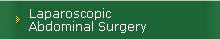 Laparoscopic Abdominal Surgery