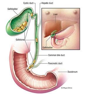 Oclinic Group Picture